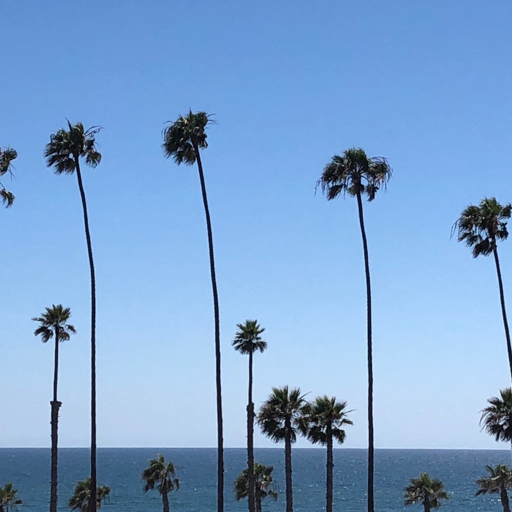 Meet your Posher, Jentry